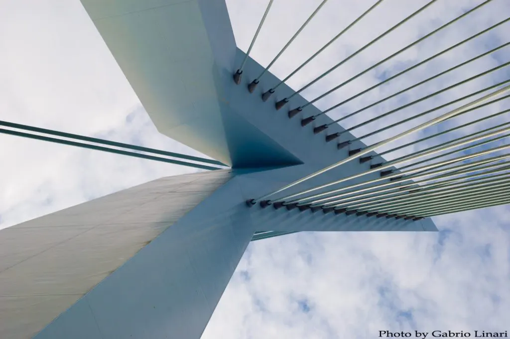 Erasmus bridge in Rotterdam